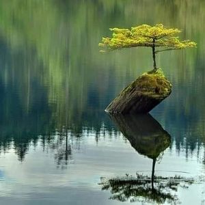 Meet your Posher, Kwame